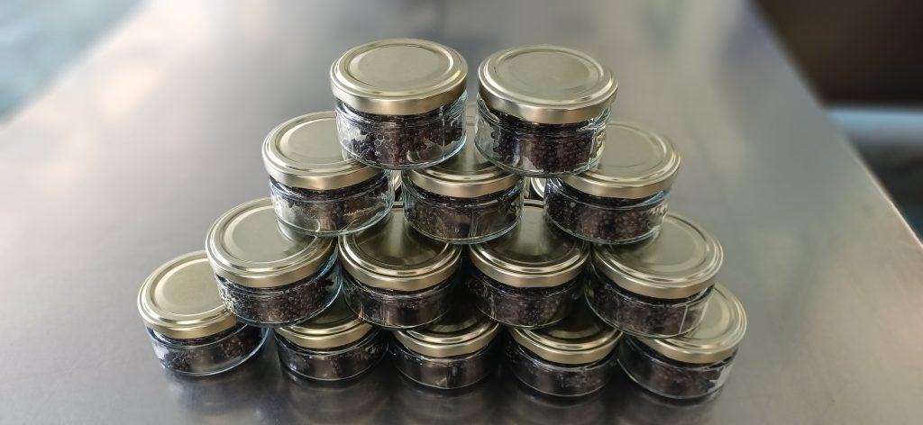 محصول خاویار