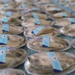 بسته بندی ماهی قزل آلا