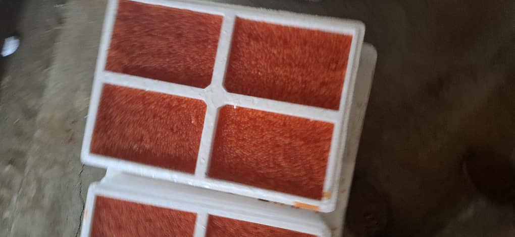 تخم چشم زده