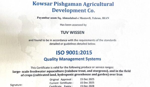 دریافت گواهینامه ISO 9001